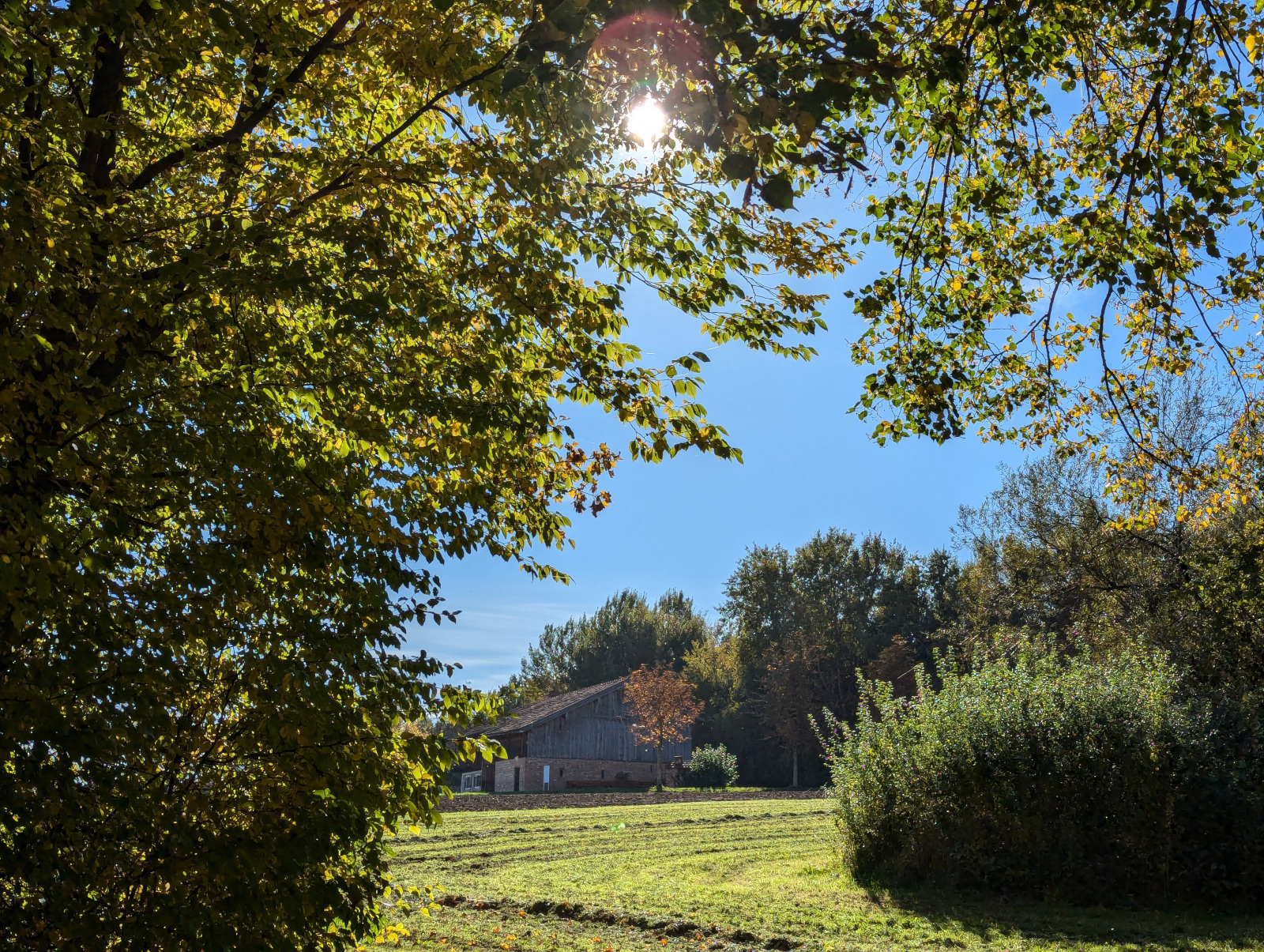 Führung: Heckenfrüchte