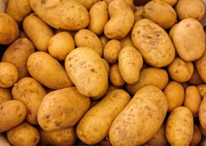 Tolle Knolle Kartoffelkochkurs