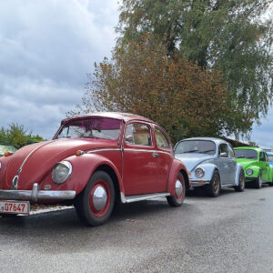 VW Käfertreffen
