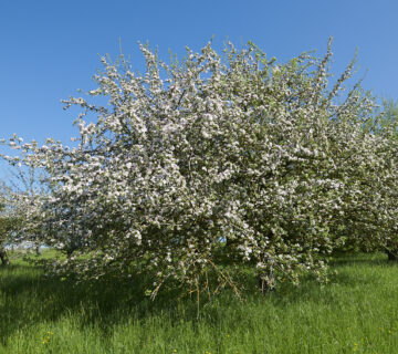 Sonderausstellung Land.schafft.Klang