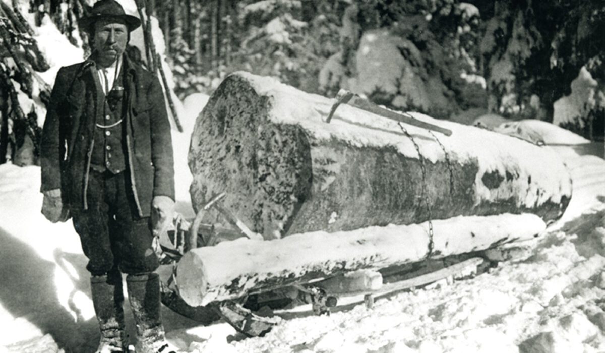 Alles aus Holz Alles aus Holz