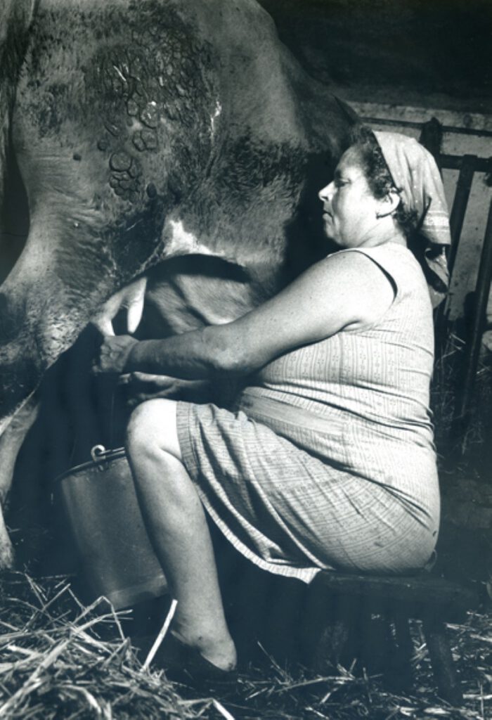 Das Scheppern der Melkeimer