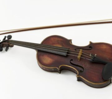 Der lange Weg einer Geige