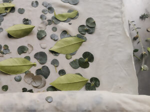 Ecodruckkurs