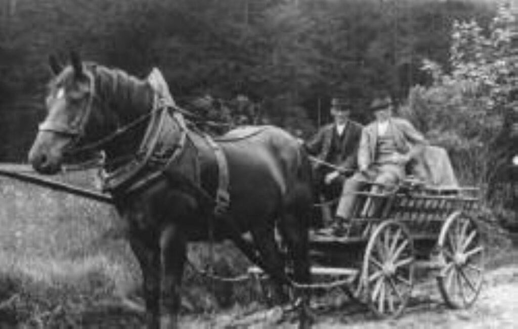 Ein klassisches Rosswagl