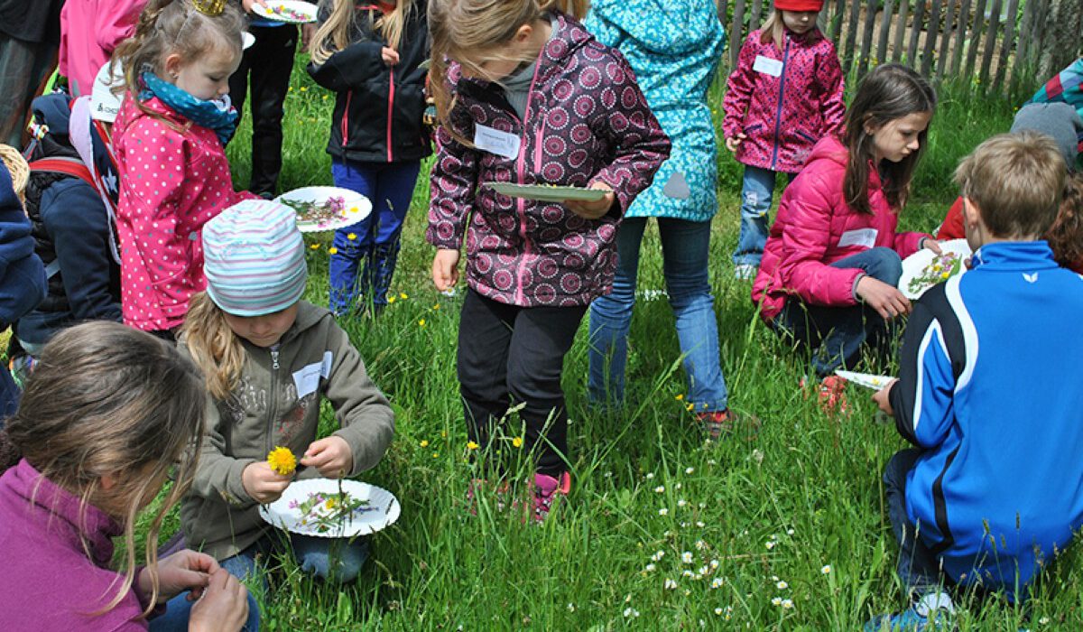 Fünf Kinder Kräuter