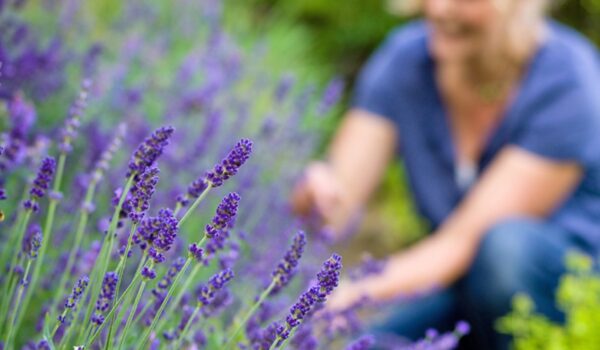 Haustsach g'sund Haustsach g'sund