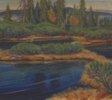 Museumsstück für das Projekt Waldinneres