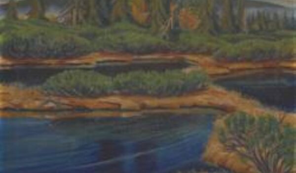 Museumsstück für das Projekt Waldinneres Museumsstück für das Projekt Waldinneres