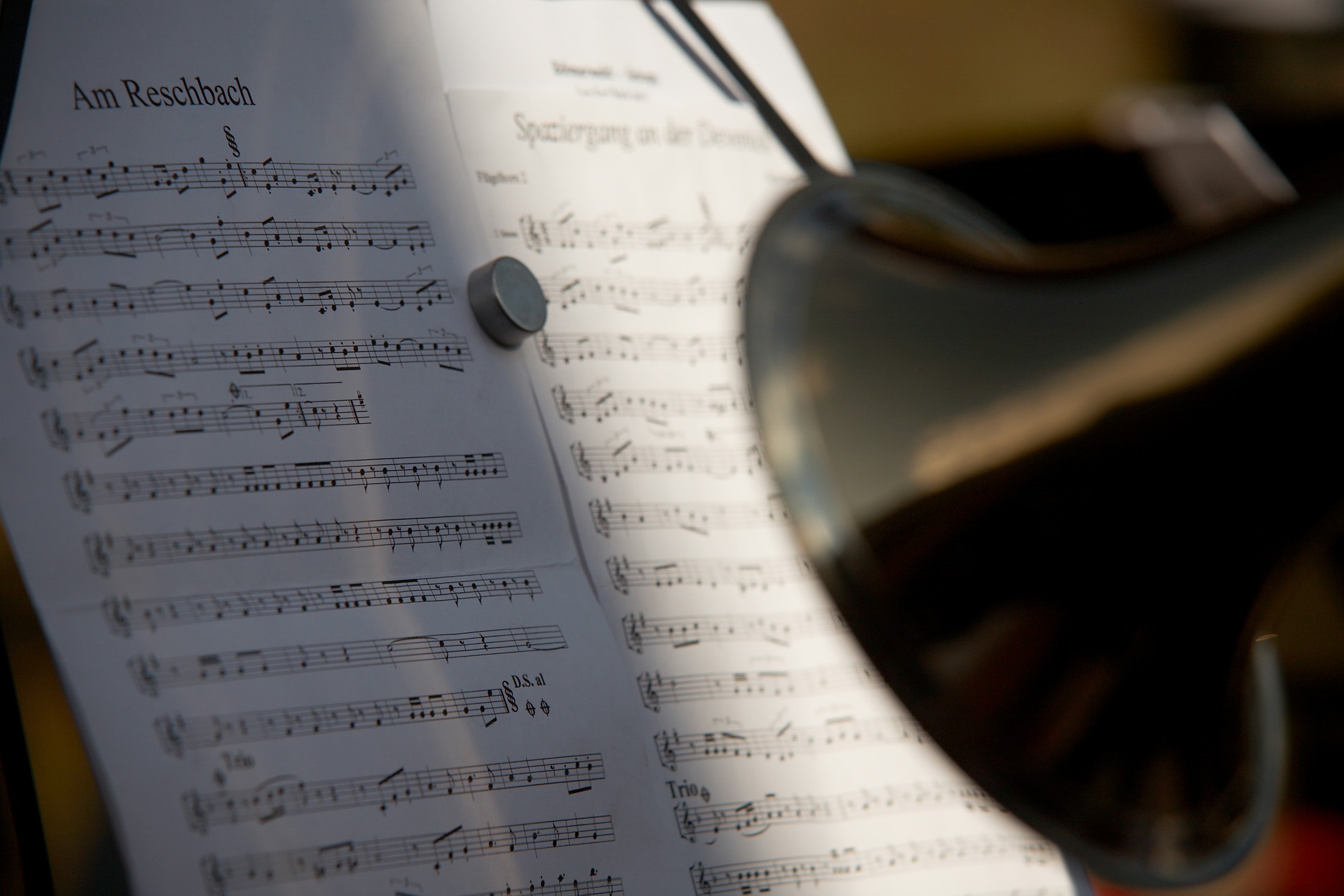 Niederboarisch g‘sunga und tanzt