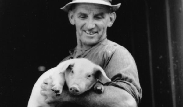 Nur für saubere kleine Schweine Nur für saubere kleine Schweine