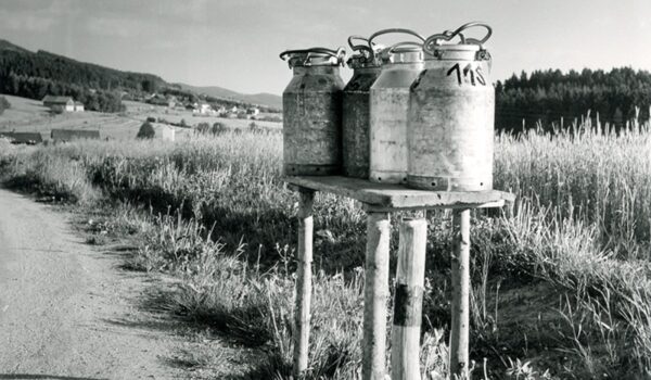 Von der Kuh bis zur Butter Von der Kuh bis zur Butter